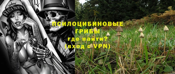 гидра Лагань