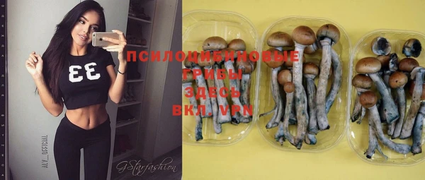 хмурый Ладушкин