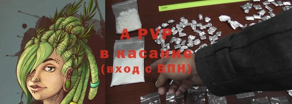 хмурый Ладушкин