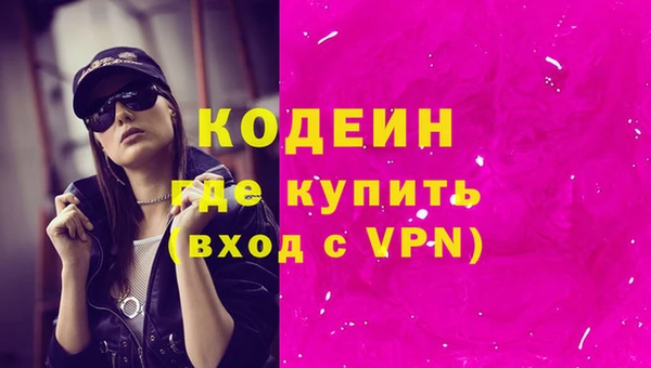 дмт Лабытнанги
