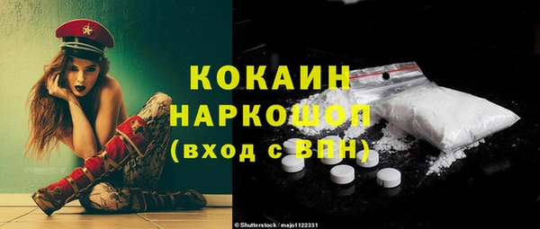 дмт Лабытнанги