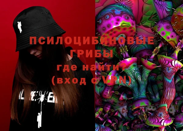 дмт Лабытнанги