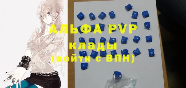хмурый Ладушкин