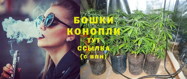 гидра Лагань