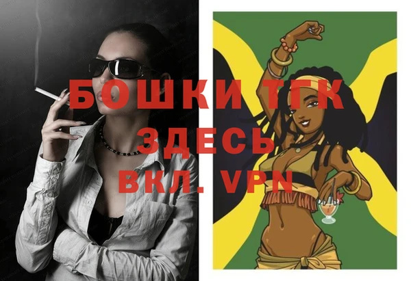 хмурый Ладушкин