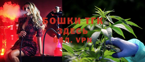 гидра Лагань