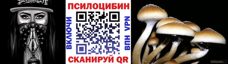 цены наркотик  Южа  Псилоцибиновые грибы мухоморы 